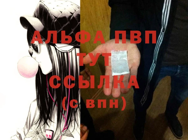 PSILOCYBIN Анжеро-Судженск